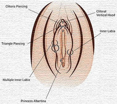 Female Genital Piercings